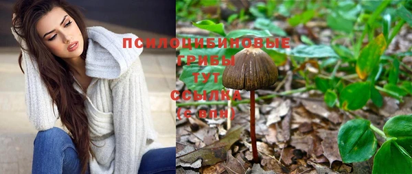 прущие грибы Волосово