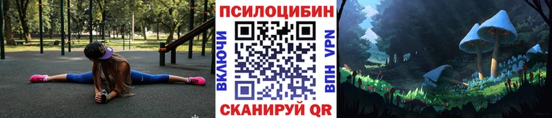 Купить где  Кириши  Псилоцибиновые грибы ЛСД 